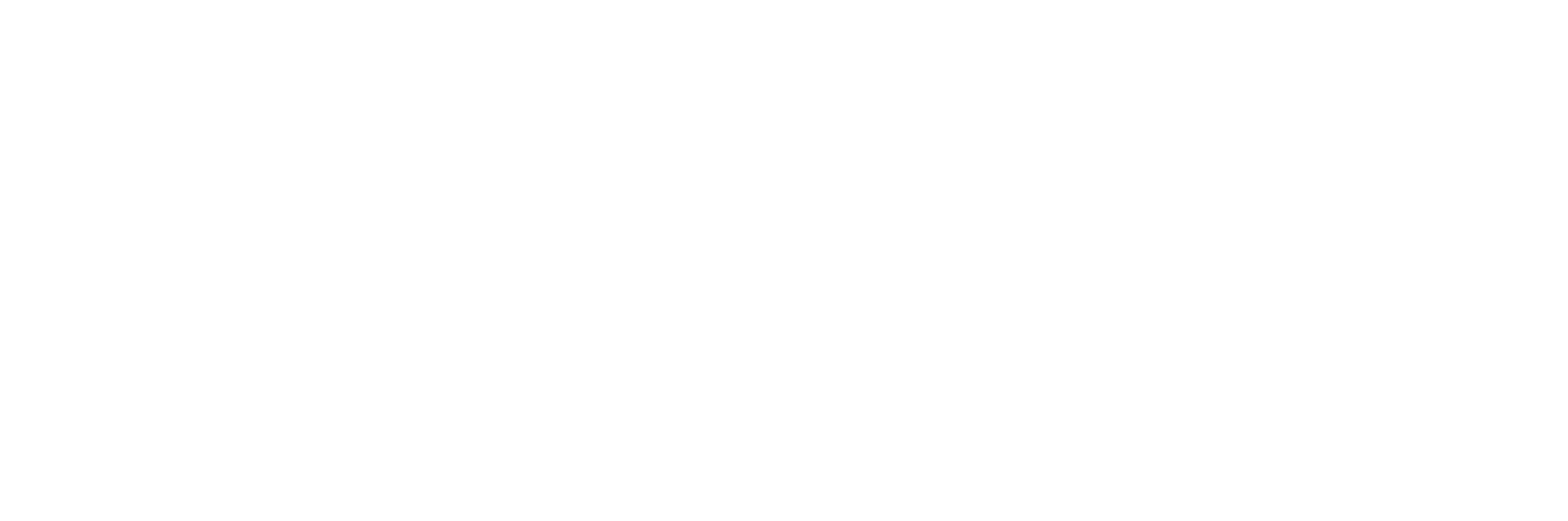 Casa Flow Logo